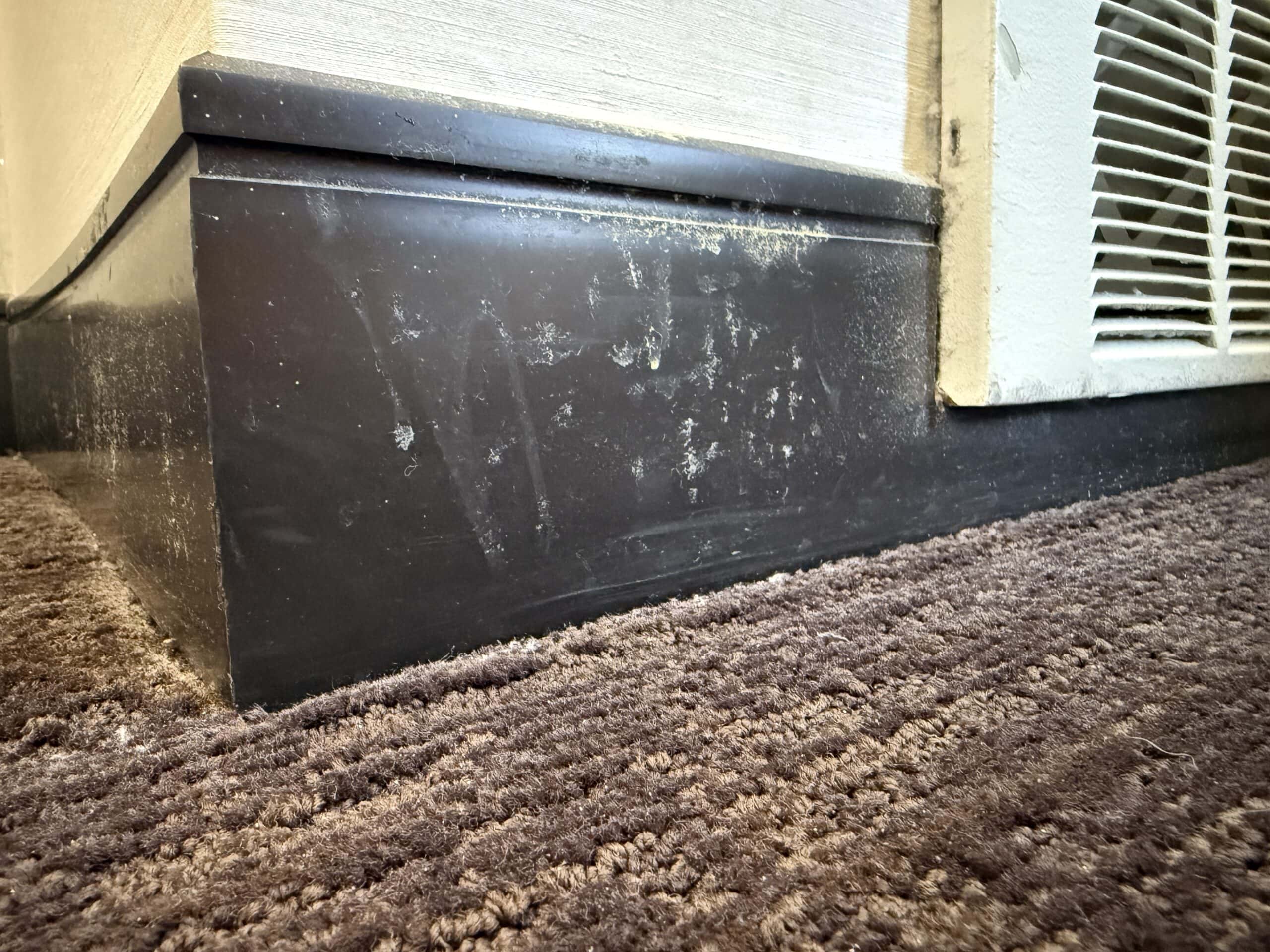 A white splatter on the dark brown baseboard.