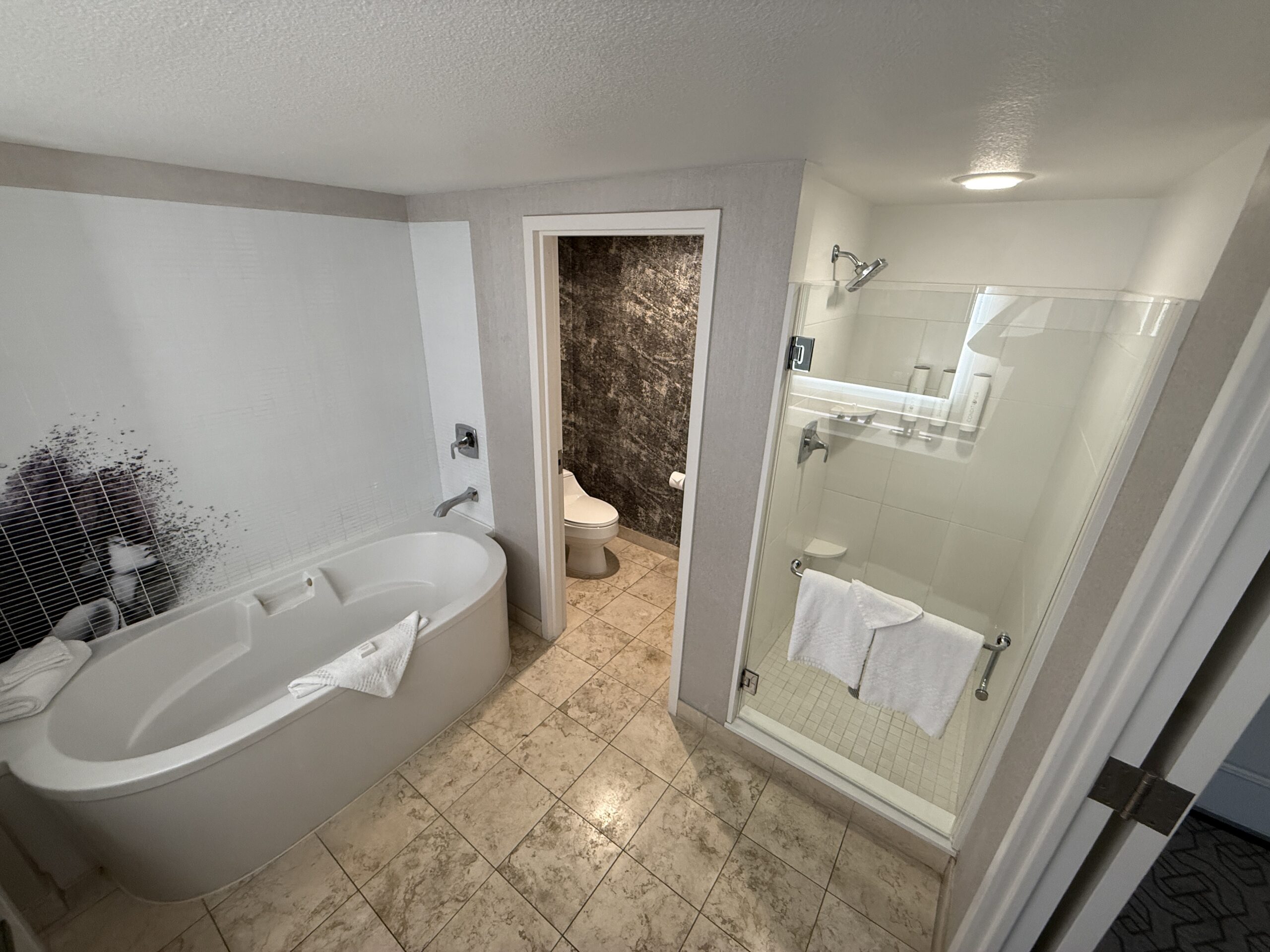 Another angle of the bathroom that shows the tub on the left, water closet entrance in the middle and glass-enclosed shower on the right.