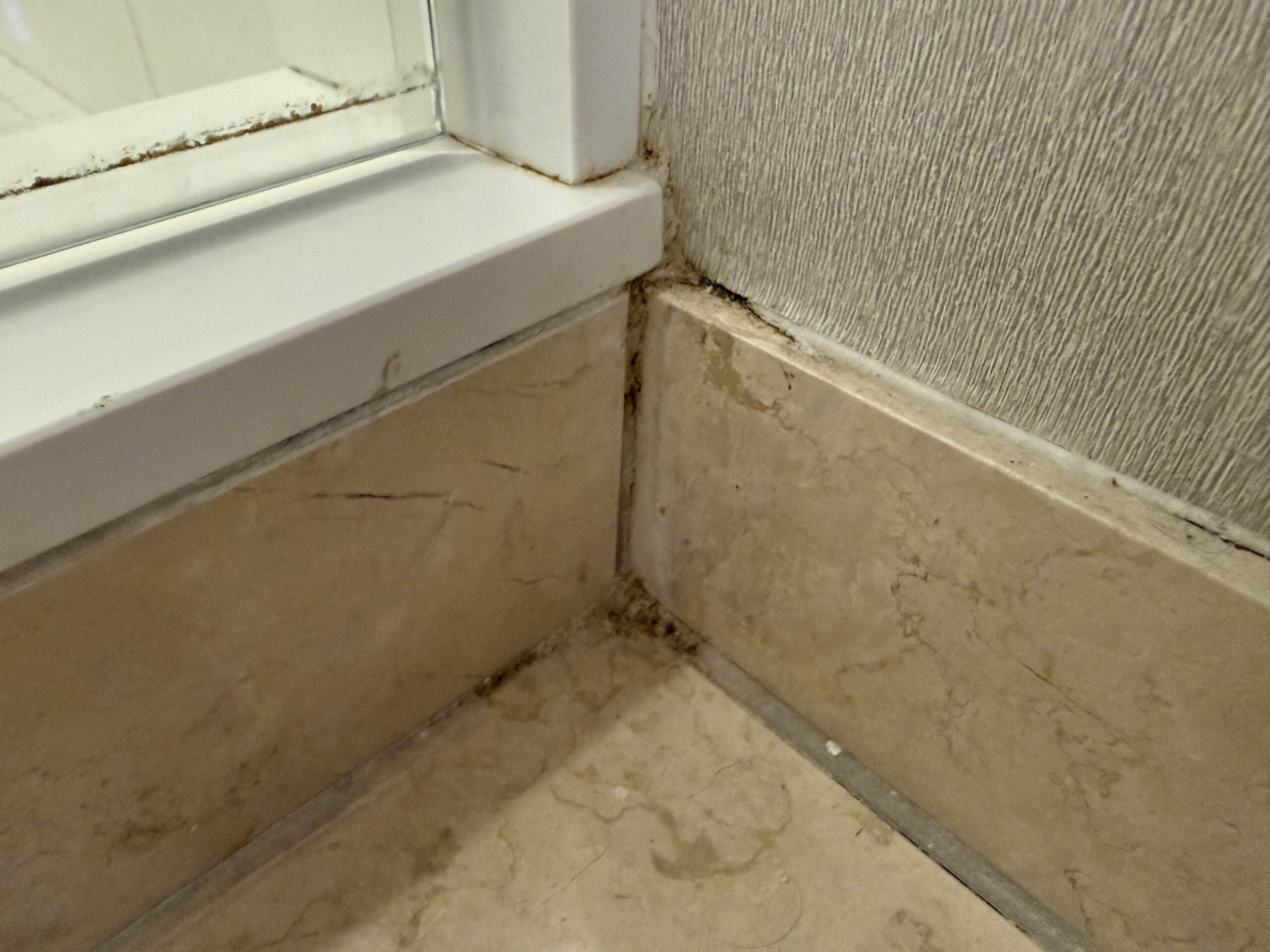 A grimy grout line in the corner of the bathroom.