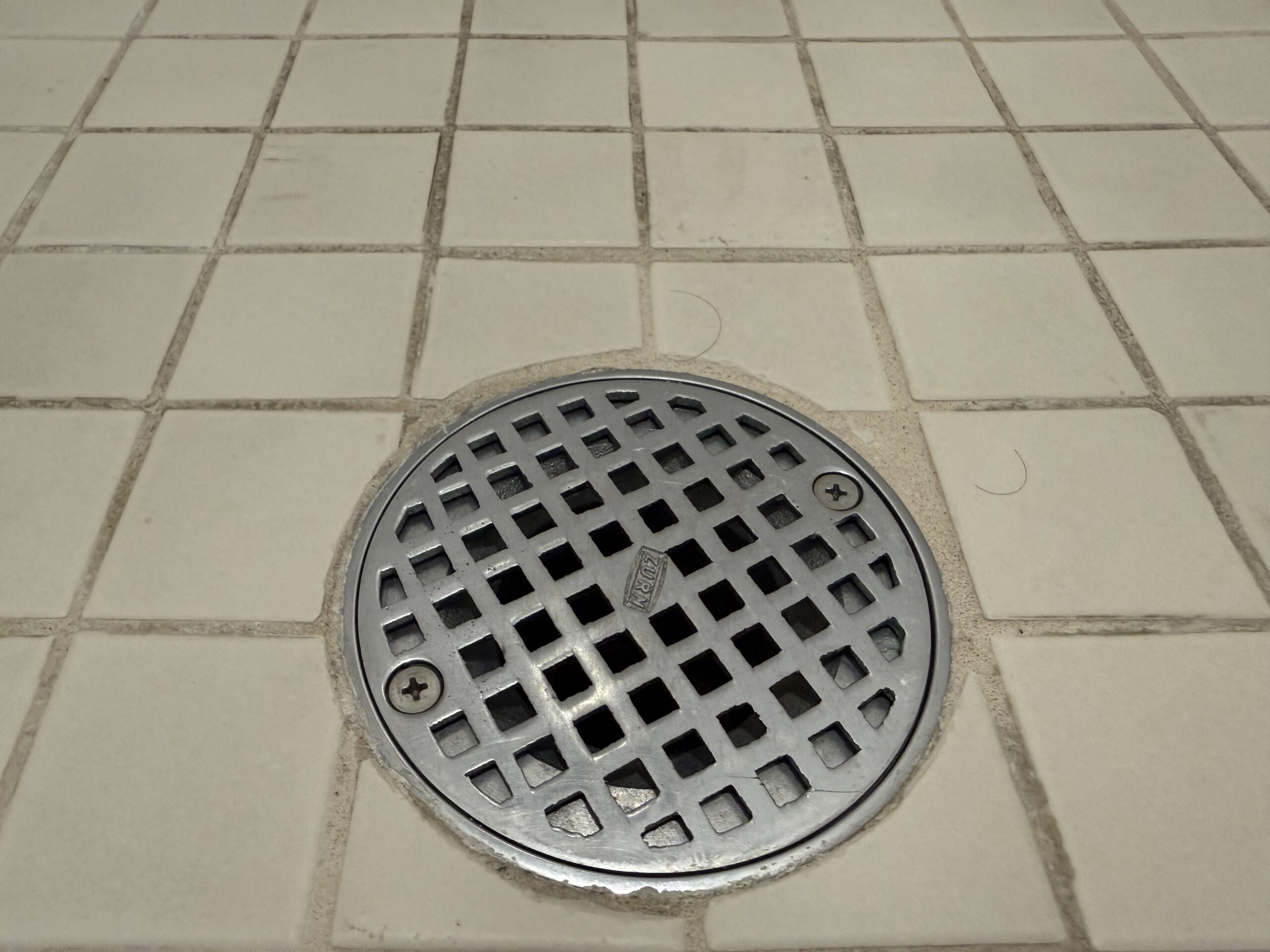 Worn grout lines in the shower, and two pubic hairs sitting by the drain.