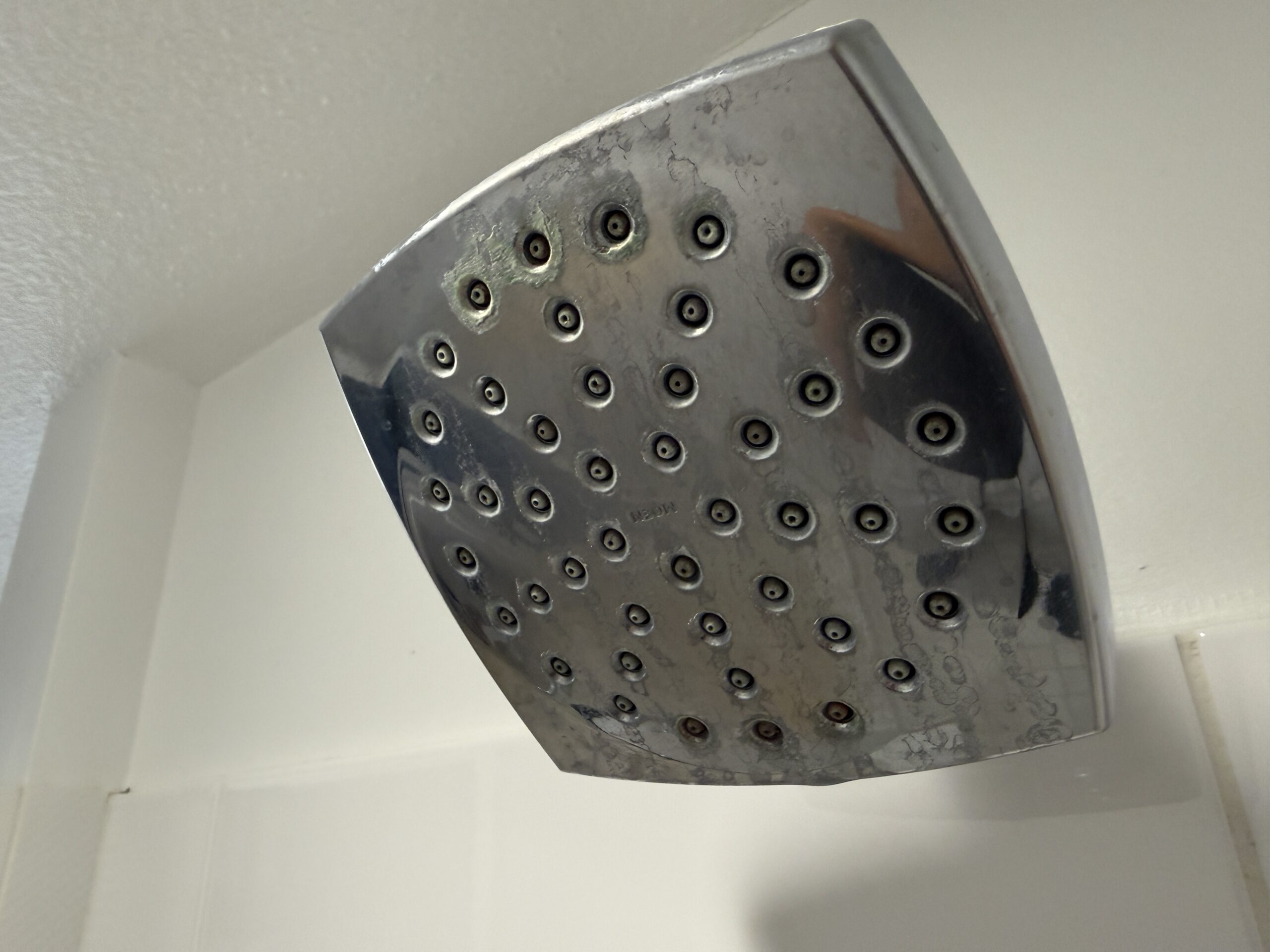 A mineral stained shower head.